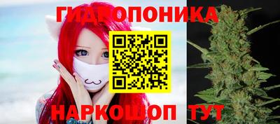 молекула духа Балахна