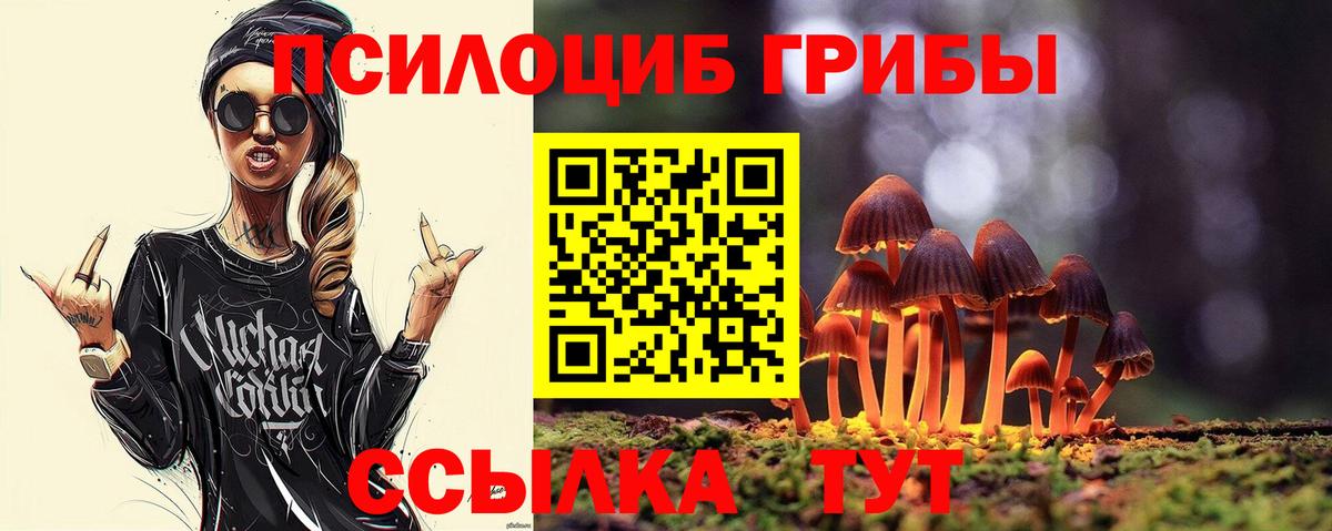 Галлюциногенные грибы прущие грибы Берёзовский