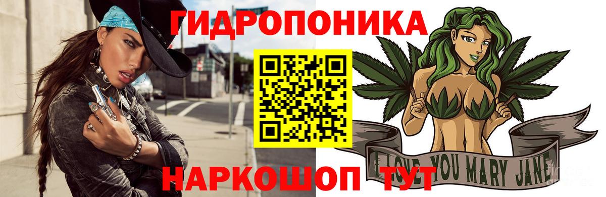 Бошки марихуана конопля  Шишки марихуана Bruce Banner  Бошки марихуана индика  Берёзовский 